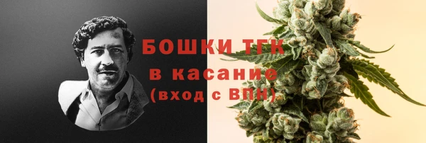 трава Вяземский