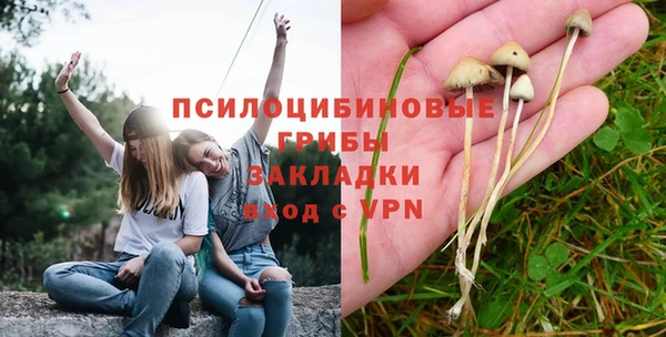 трава Вязники