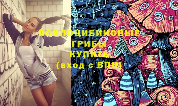 ГАЛЛЮЦИНОГЕННЫЕ ГРИБЫ Слюдянка