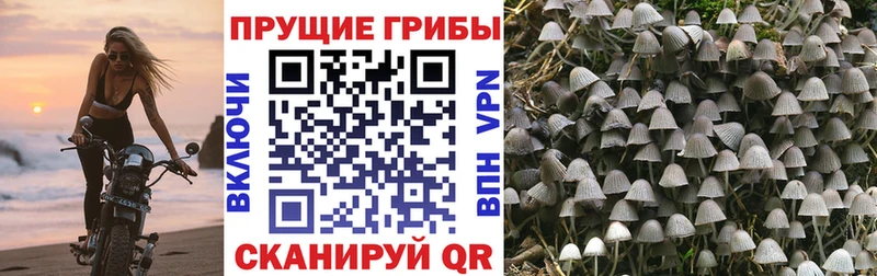 цены   Ивдель  Псилоцибиновые грибы мухоморы 